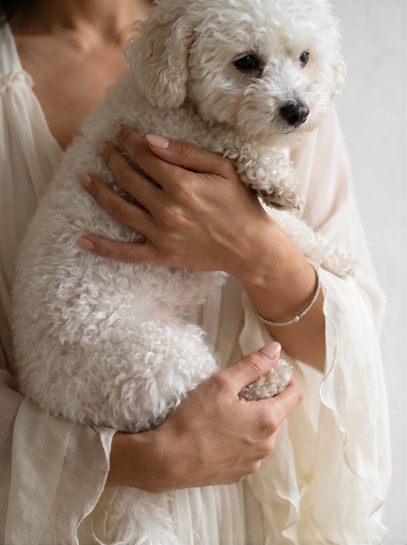 Close-up of manicured hands cradling a white curly-coated dog against an ivory robe