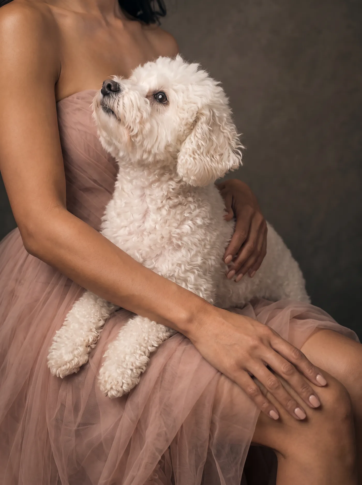 White dog in the lap of a woman in a blush tulle gown, gazing up at her
